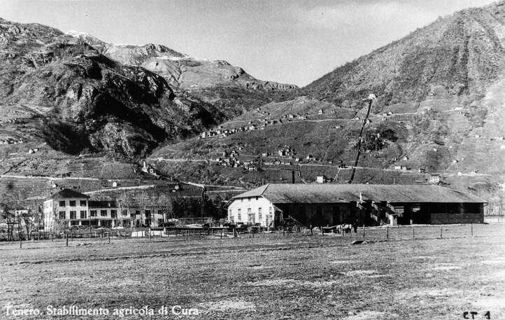 Centro Sportivo Tenero vor Bau CST