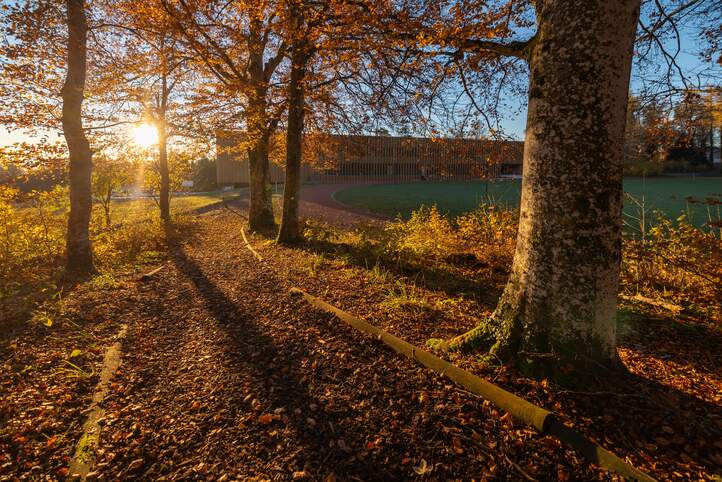 Gebäude am Lärchenplatz im Herbst