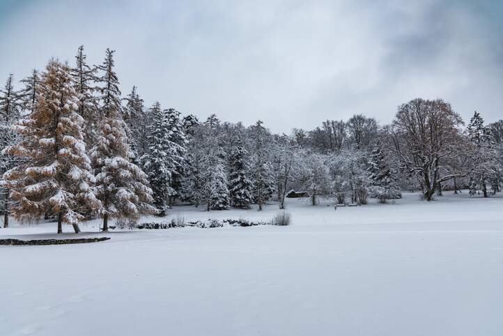 Winter Lärchenplatz