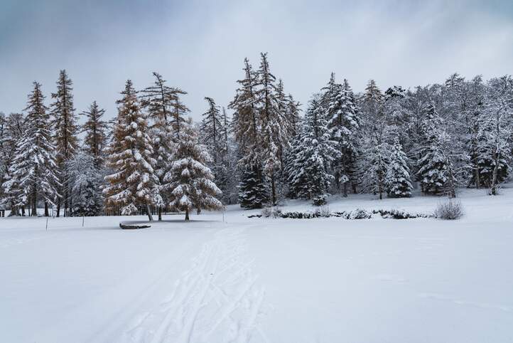 Winter Lärchenplatz