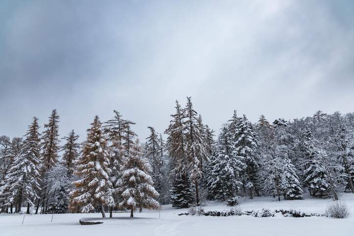 Winter Lärchenplatz