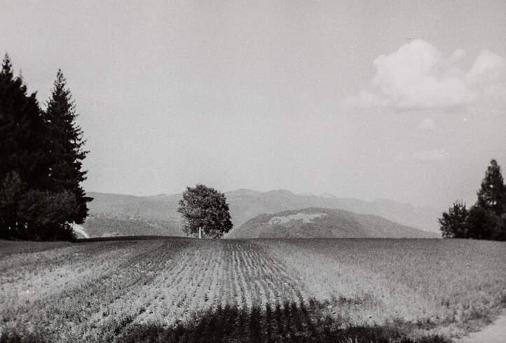 Landwirtschaft am Lärchenplatz vor Baubeginn 1944